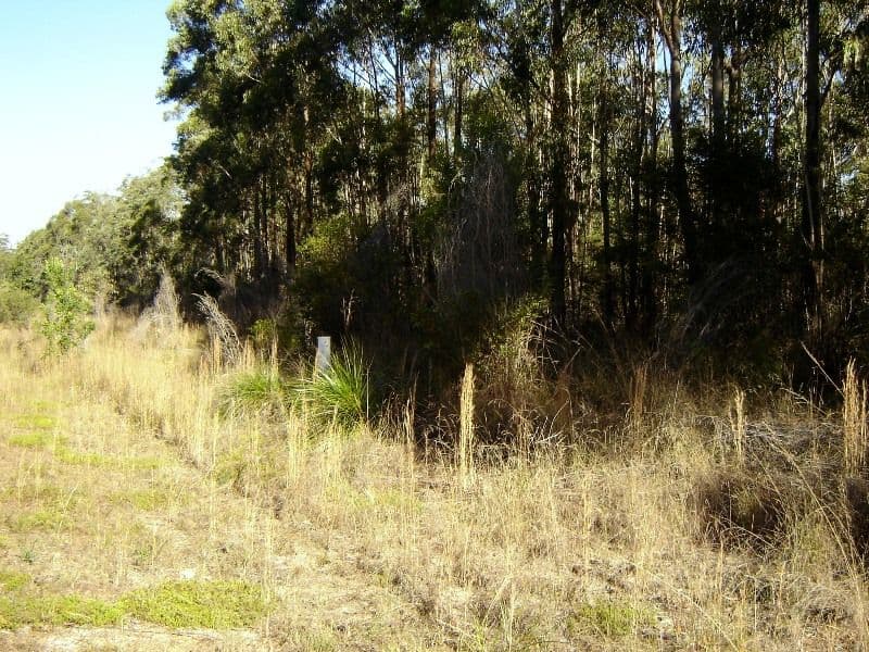 L334 Fortis Drive, THE PINNACLES NSW 2460, The Pinnacles - Thumbnail 4