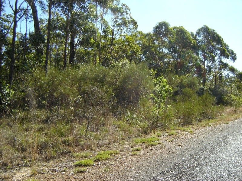 L334 Fortis Drive, THE PINNACLES NSW 2460, The Pinnacles - Thumbnail 5