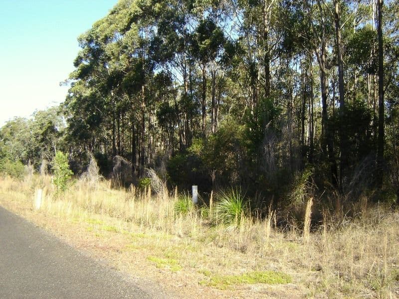 L334 Fortis Drive, THE PINNACLES NSW 2460, The Pinnacles - Thumbnail 6