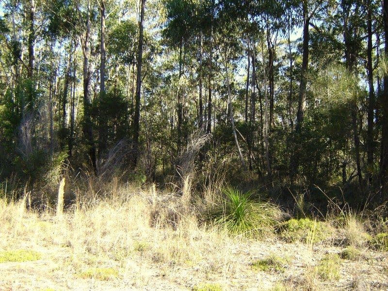 L334 Fortis Drive, THE PINNACLES NSW 2460, The Pinnacles - Thumbnail 7