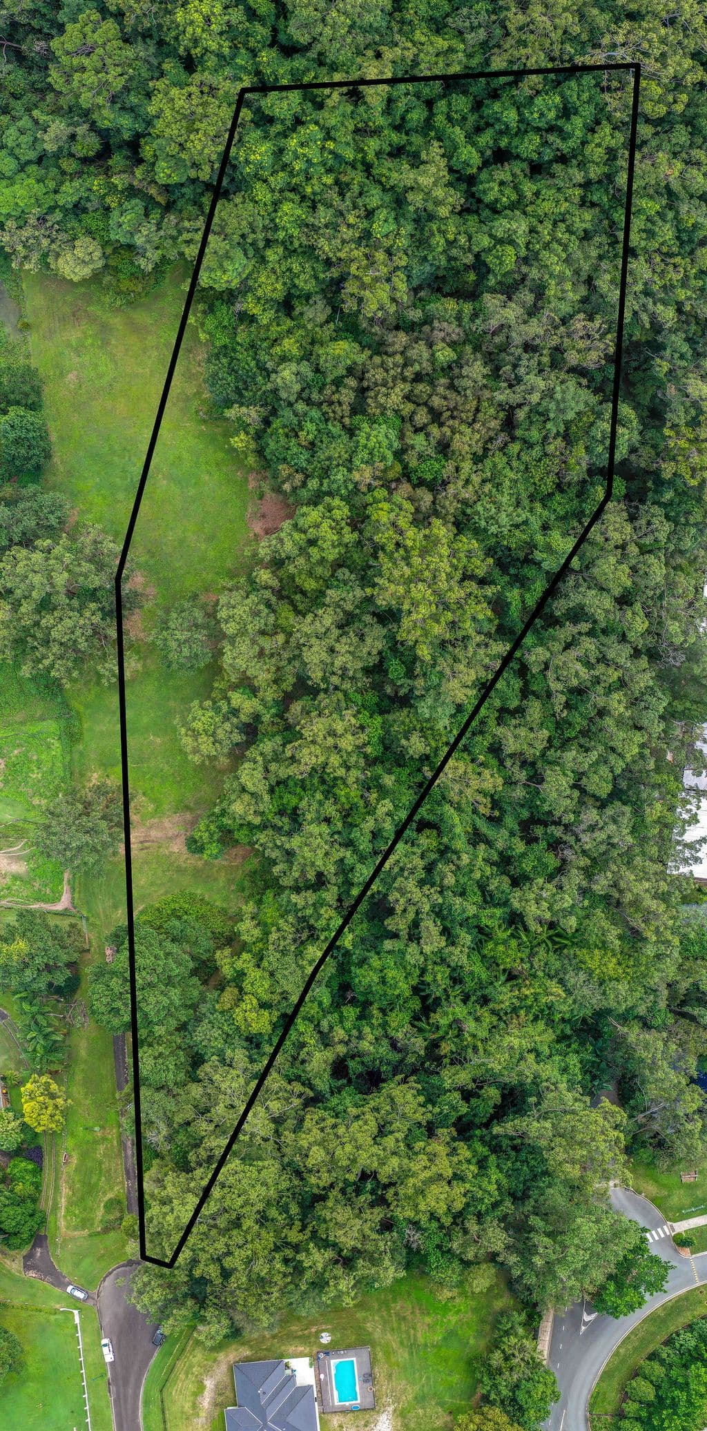 12 Vyner Court, Forest Glen QLD 4556, Forest Glen - Thumbnail 3