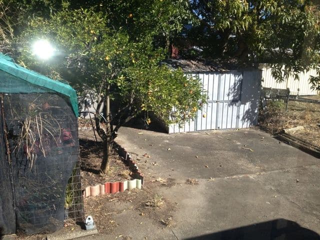 126 Boronia Drive, BELLARA QLD 4507, Bellara - Thumbnail 5