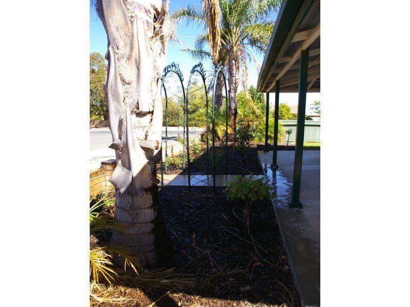 54 Thirteenth Street, RENMARK SA 5341, Renmark - Thumbnail 7