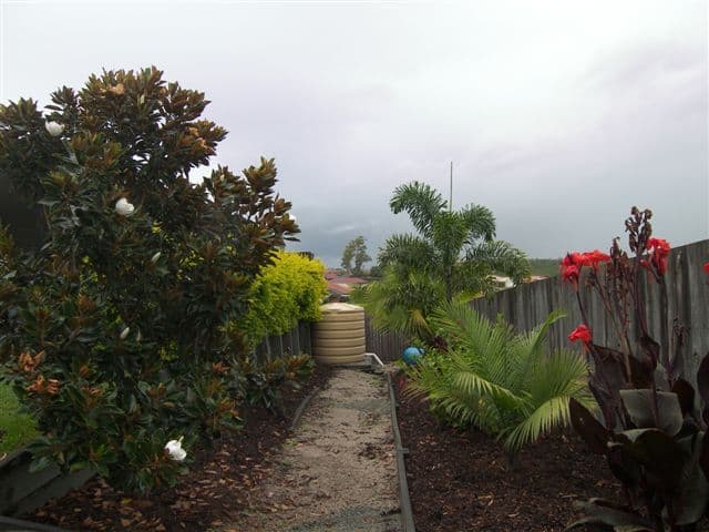 5 Dove Place, SPRINGFIELD QLD 4300, Springfield - Thumbnail 5