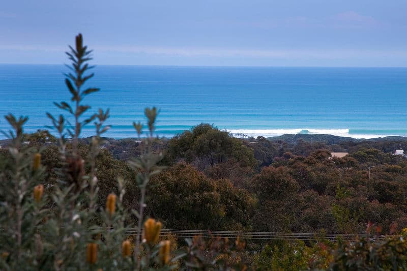 56-58 Harvey Street, Anglesea, VIC, Anglesea - Thumbnail 4