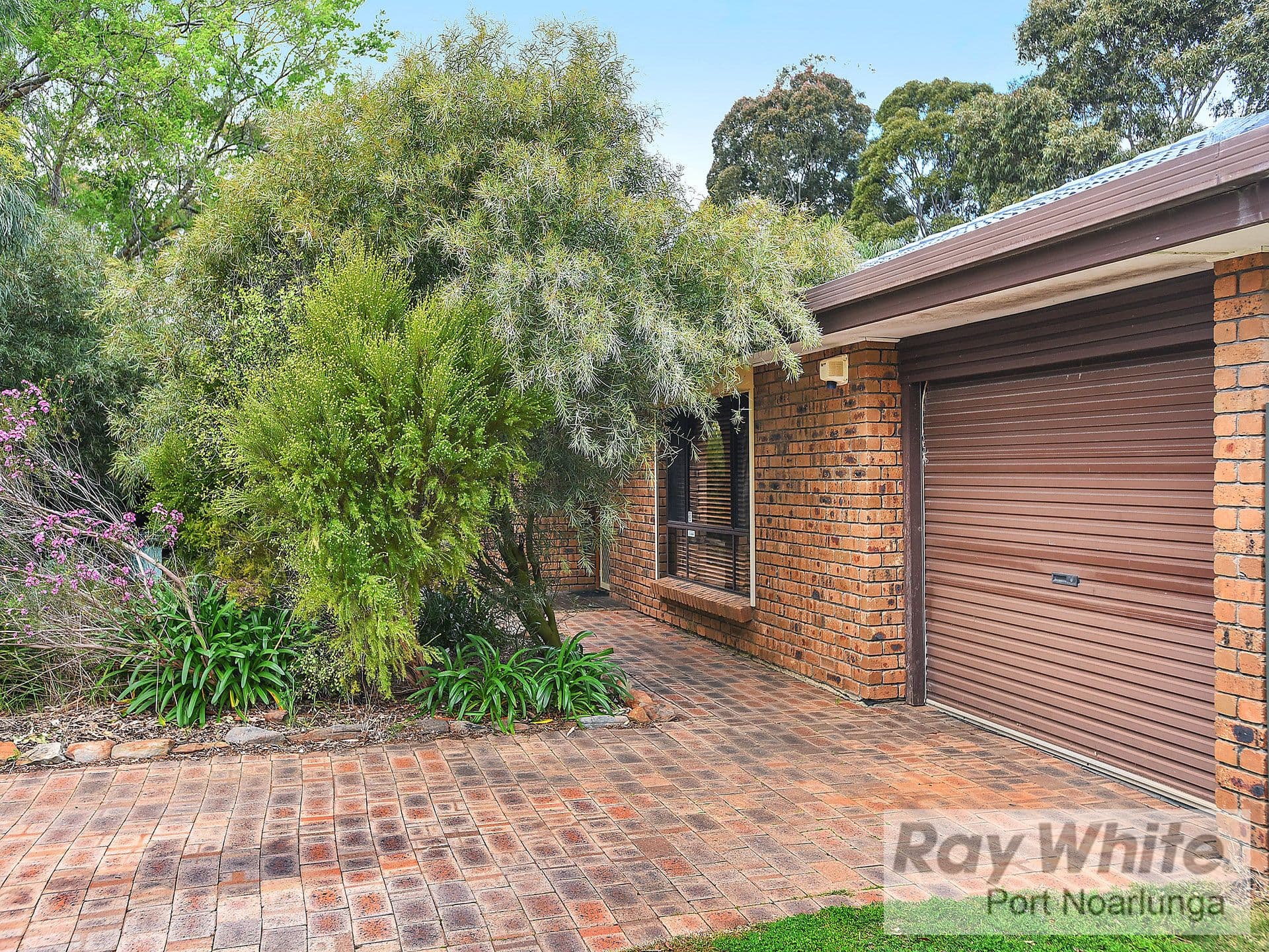 8 Beverley Street, Morphett Vale SA 5162, Morphett Vale - Thumbnail 2