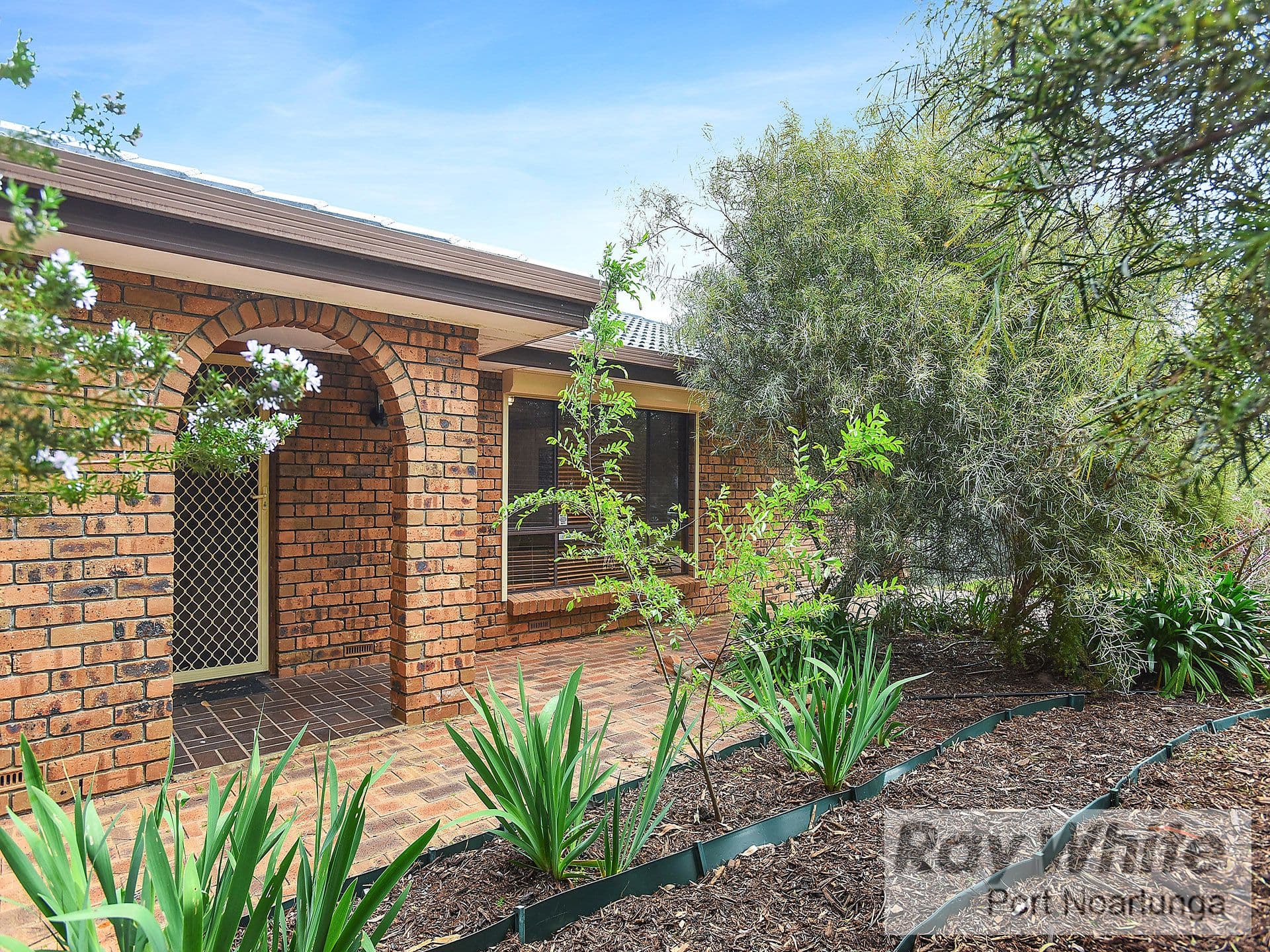 8 Beverley Street, Morphett Vale SA 5162, Morphett Vale - Thumbnail 3