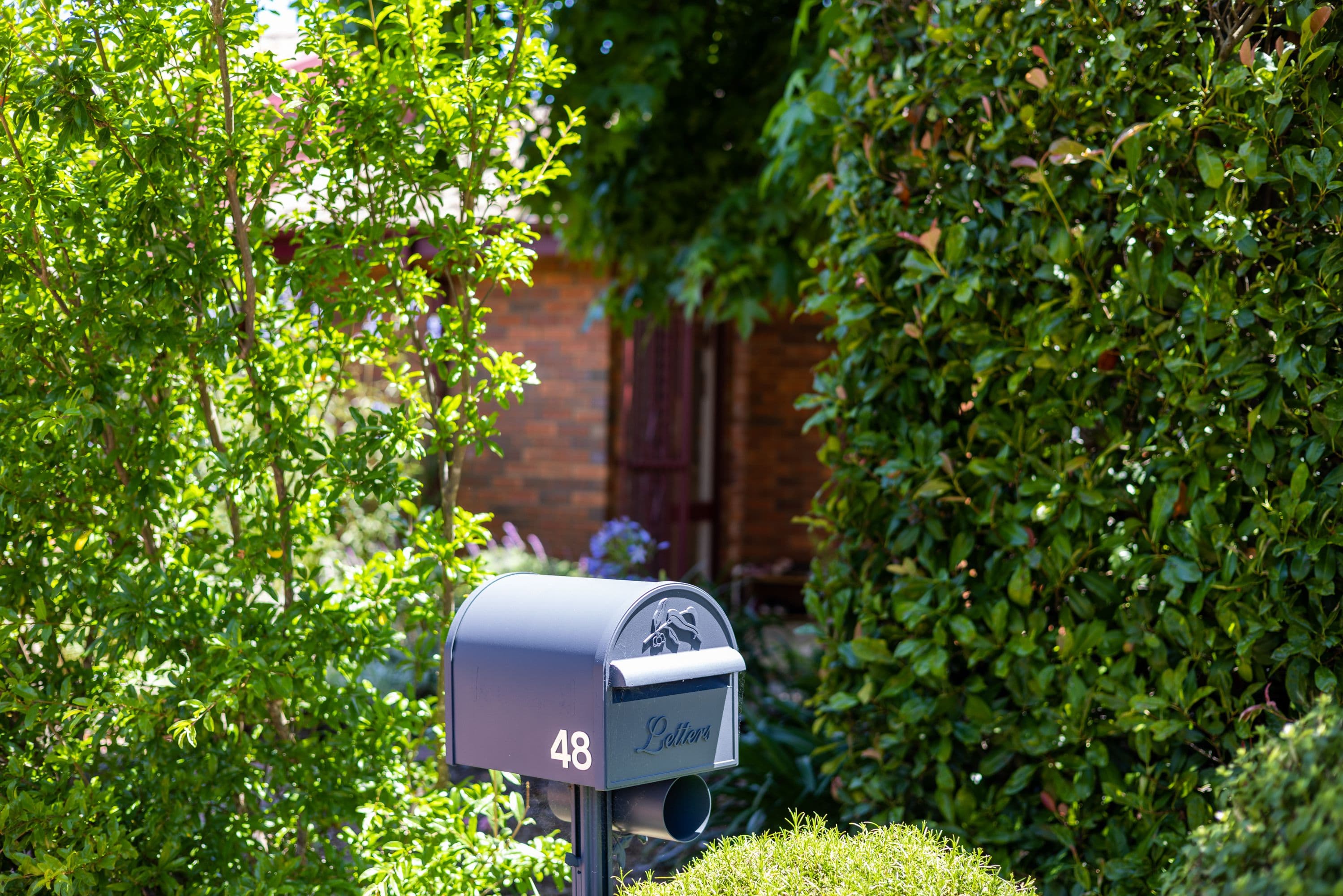 48 Mortlock Circuit, Kaleen ACT 2617, Kaleen - Thumbnail 4
