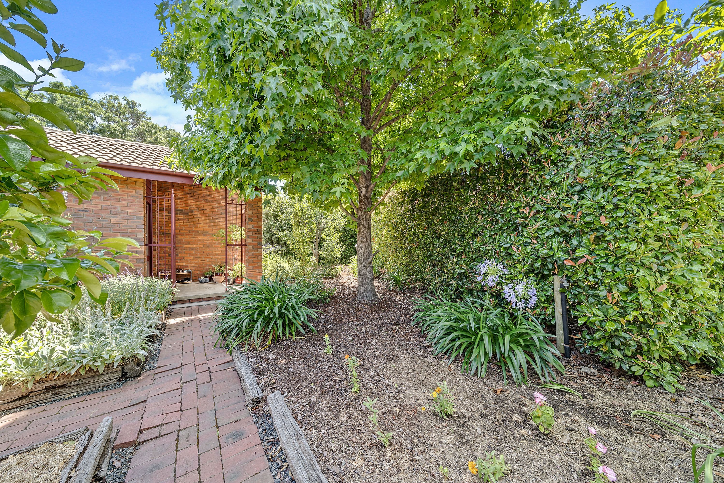 48 Mortlock Circuit, Kaleen ACT 2617, Kaleen - Thumbnail 5