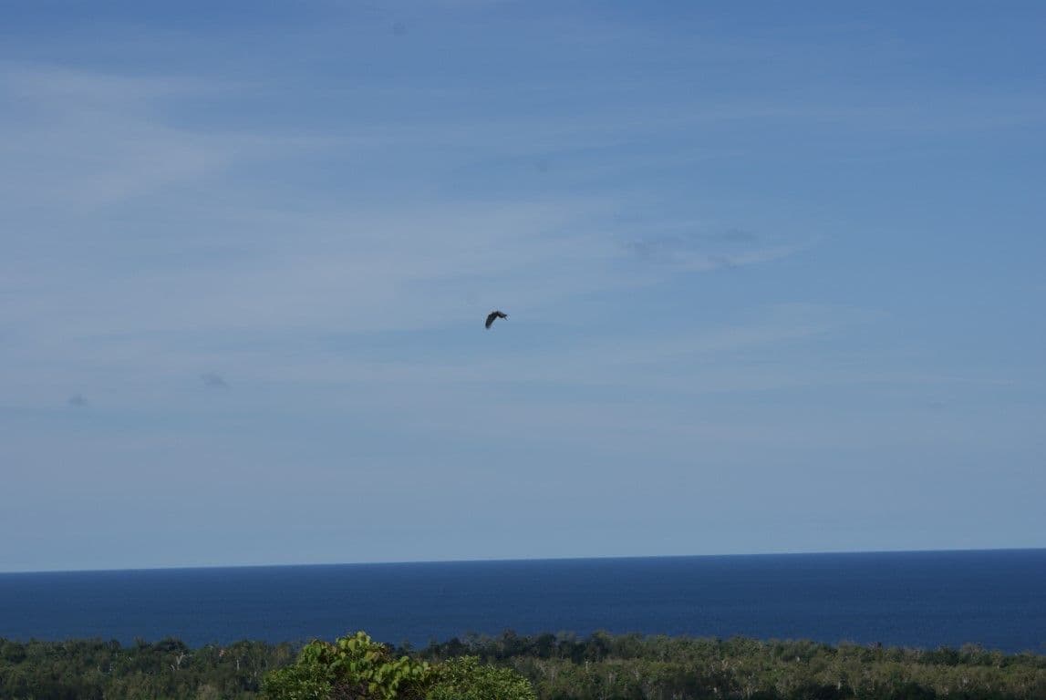 Lot 58 Mission Circle, Wongaling Beach QLD 4852, Wongaling Beach - Thumbnail 2