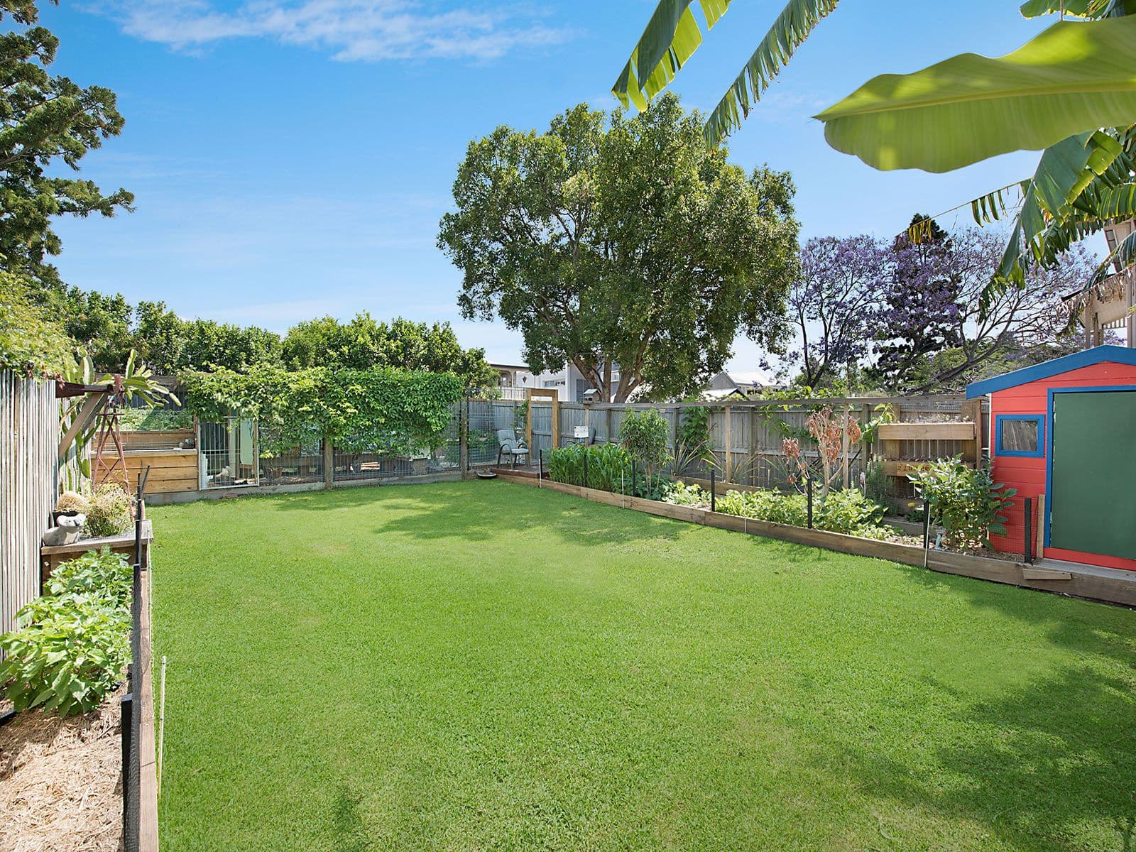 43 Thirteenth Avenue, Kedron QLD 4031, Kedron - Thumbnail 8