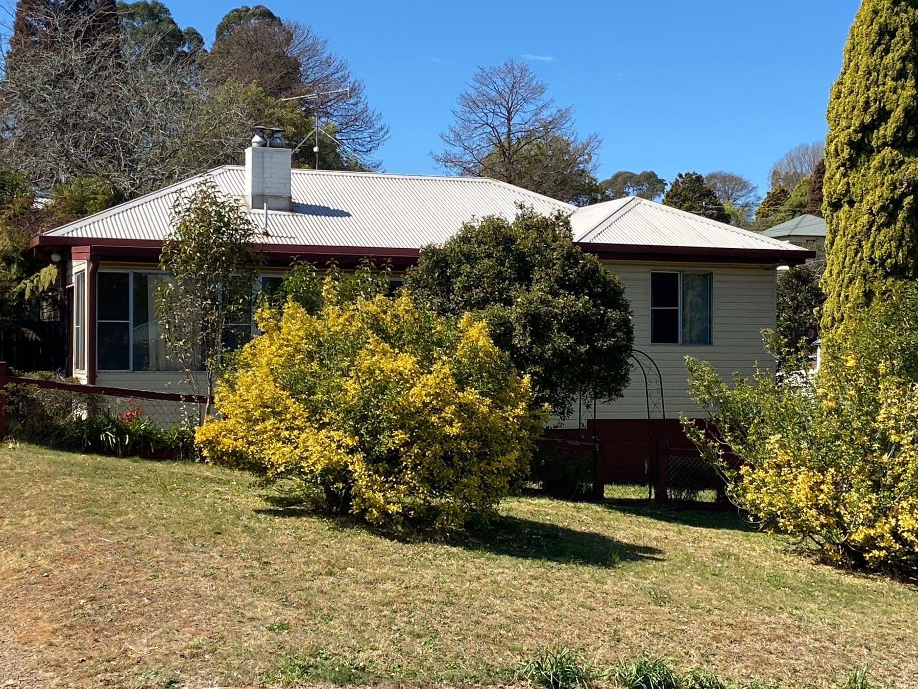 8 Myrtle Street, Dorrigo NSW 2453, Dorrigo - Image 1