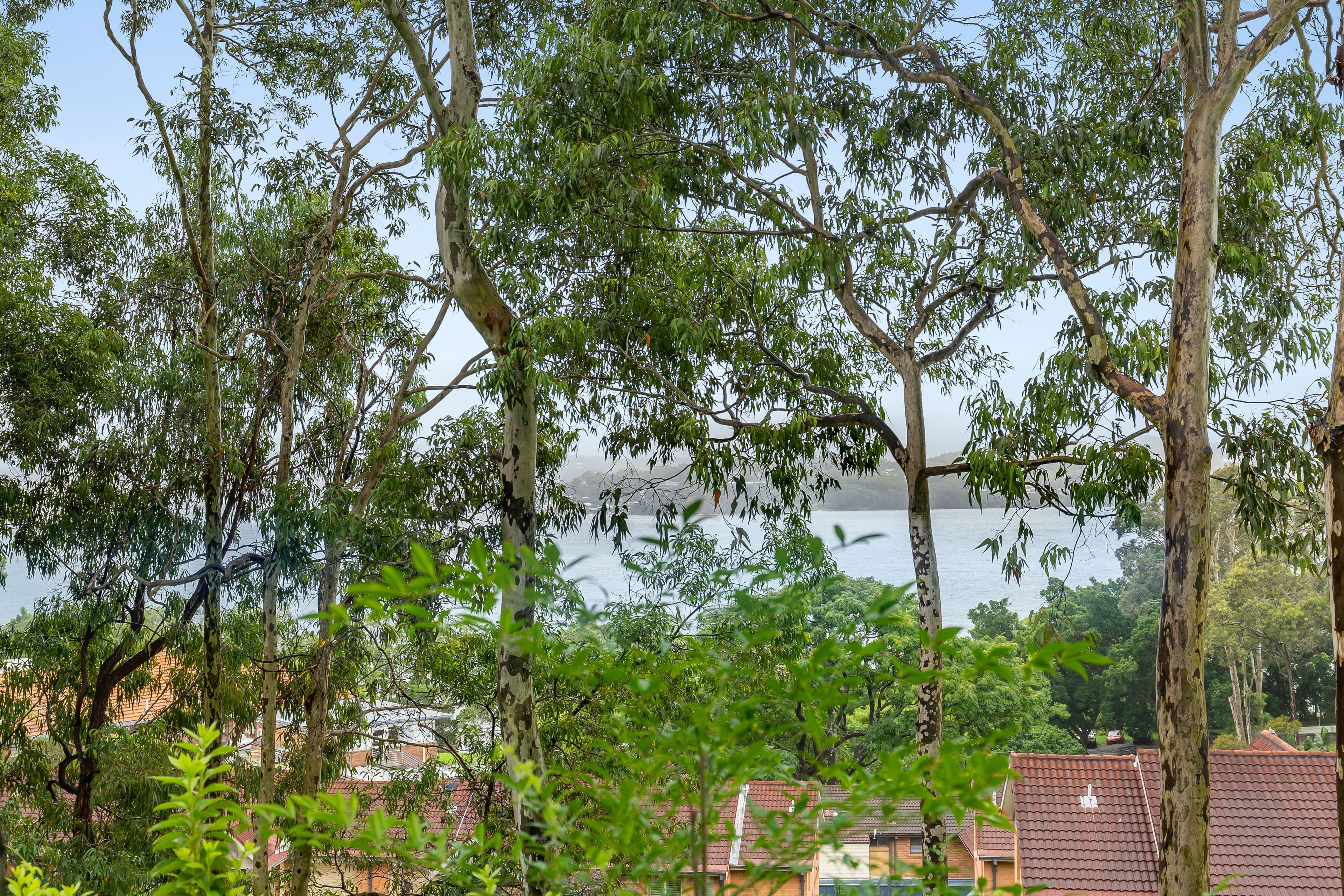 18 The Ridgeway, Bolton Point NSW 2283, Bolton Point - Image 1