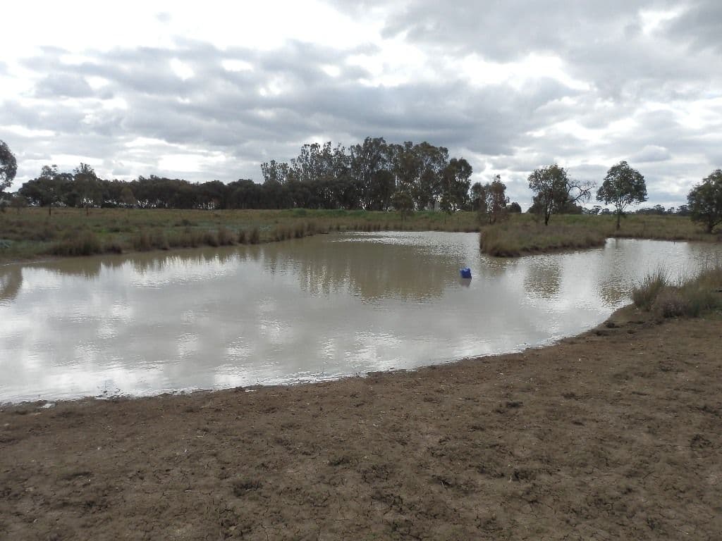 615 Looker Road, ECHUCA VIC 3564, Echuca Village - Thumbnail 3