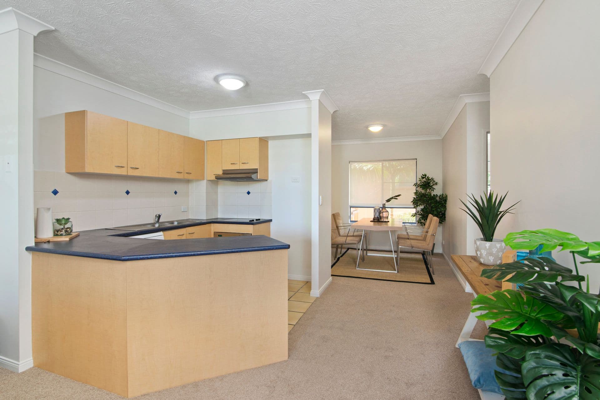 5 Hill Street, Coolangatta QLD 4225, Coolangatta - Thumbnail 2