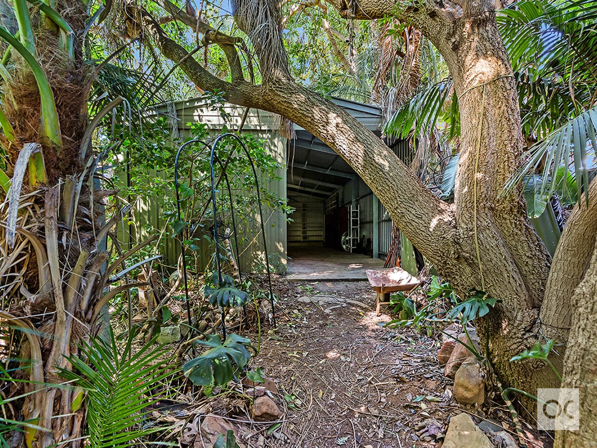 1 Paisley Avenue, Torrens Park - Thumbnail 7
