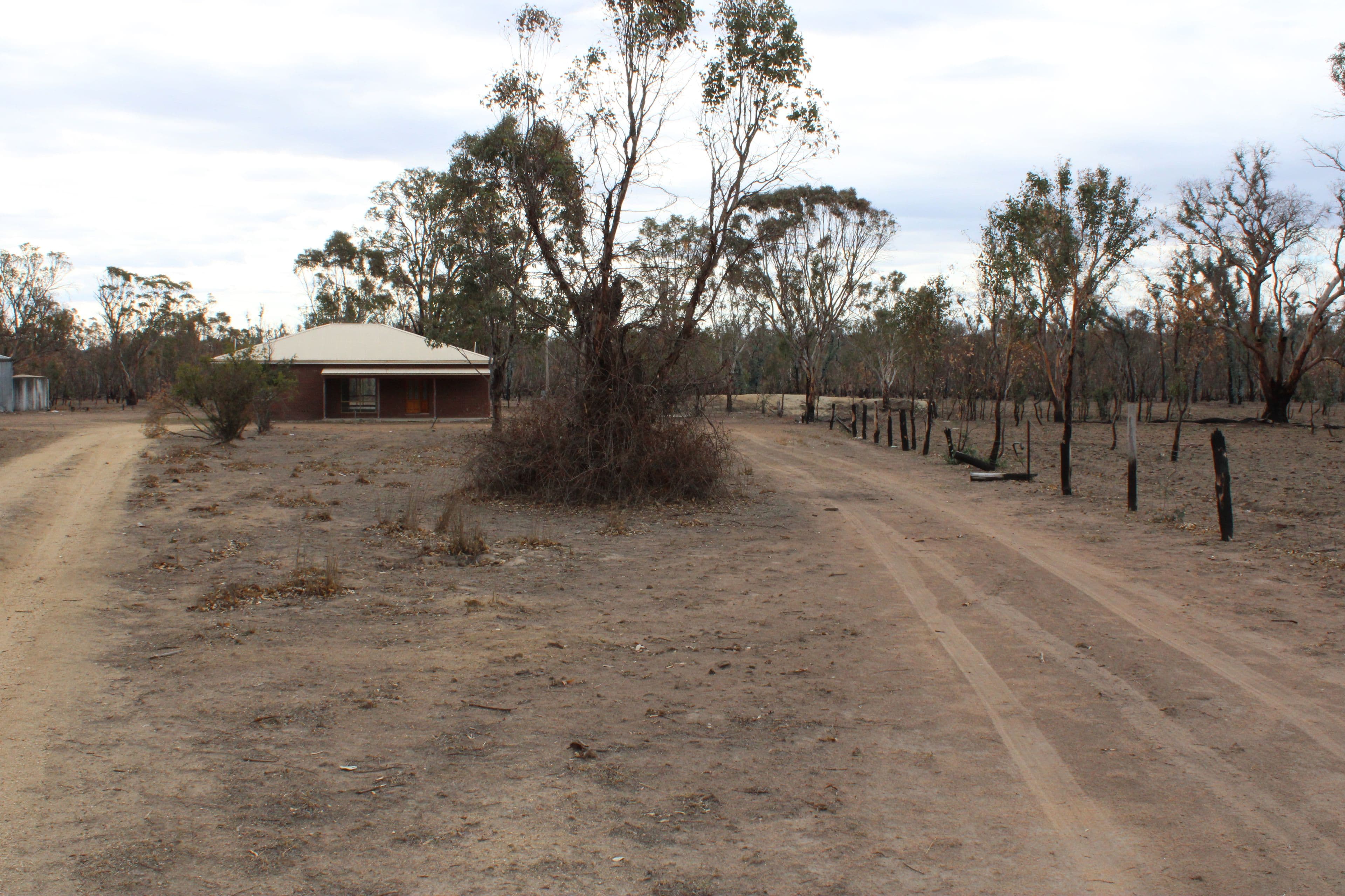 118 Winterwood Road, Inverell NSW 2360, Inverell - Thumbnail 2