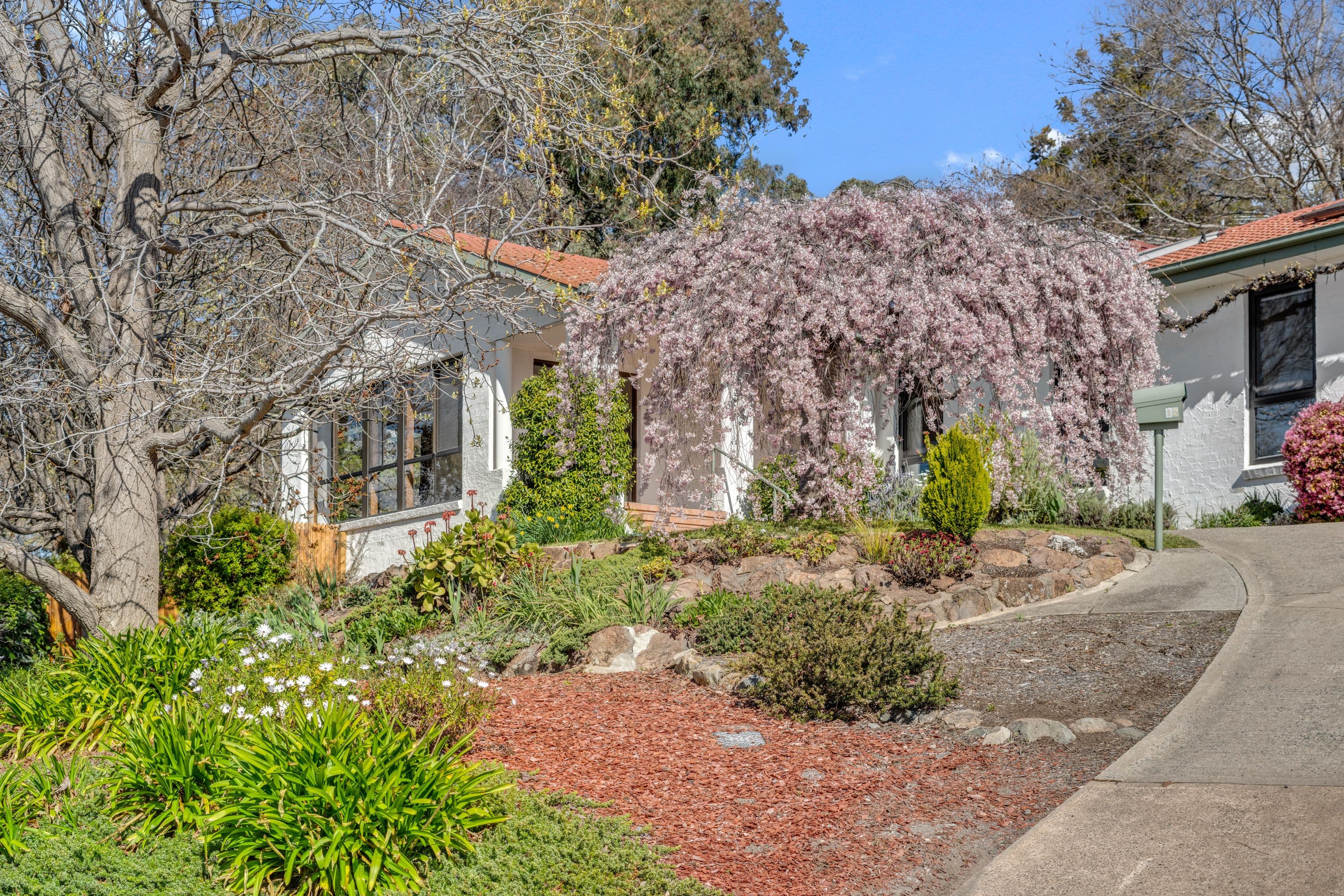 12 Howarth Place, Chapman ACT 2611, Chapman - Thumbnail 3