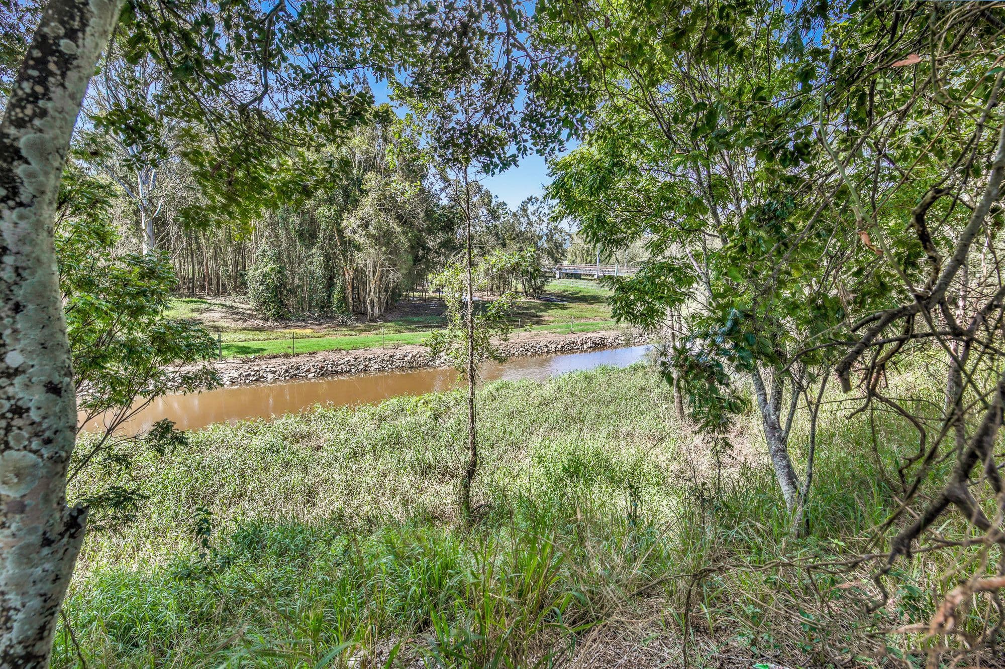 127 Pimpama Jacobs Well Road, Pimpama QLD 4209, Pimpama - Thumbnail 6