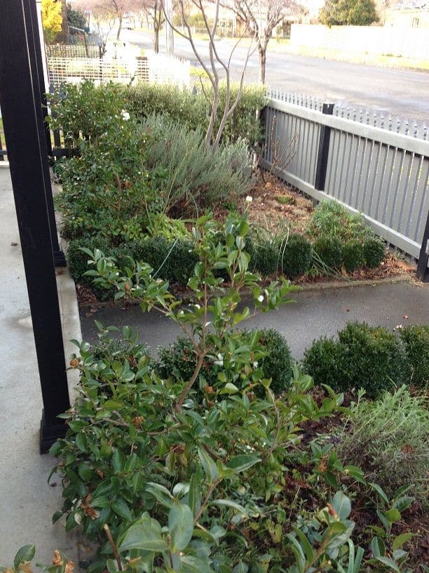 413 Summer Street, ORANGE NSW 2800, Orange - Thumbnail 2