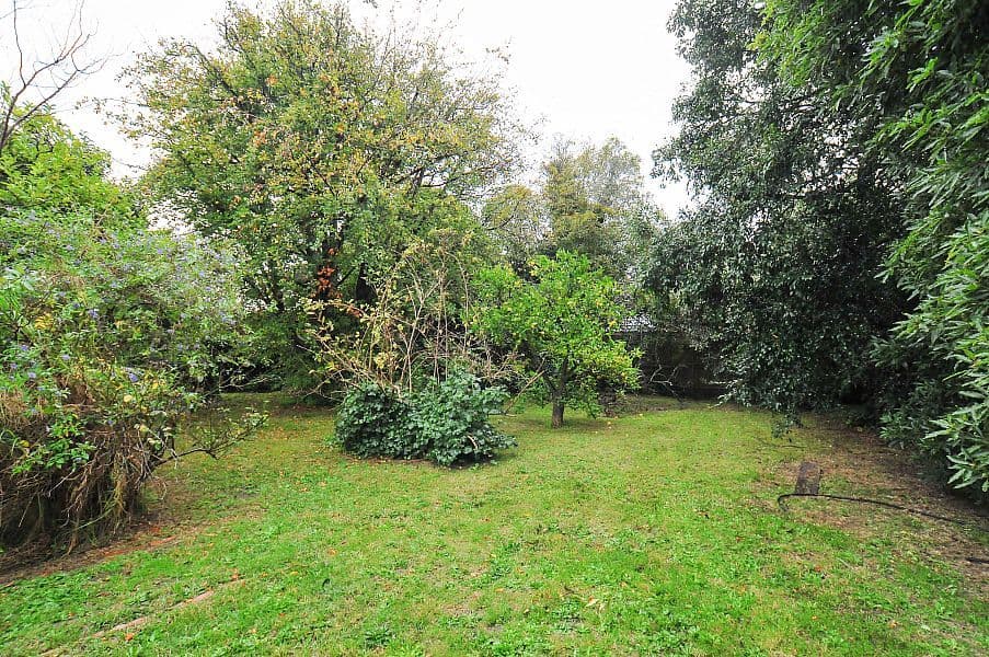 657 Whitehorse Road, MITCHAM VIC 3132, Mitcham - Thumbnail 5