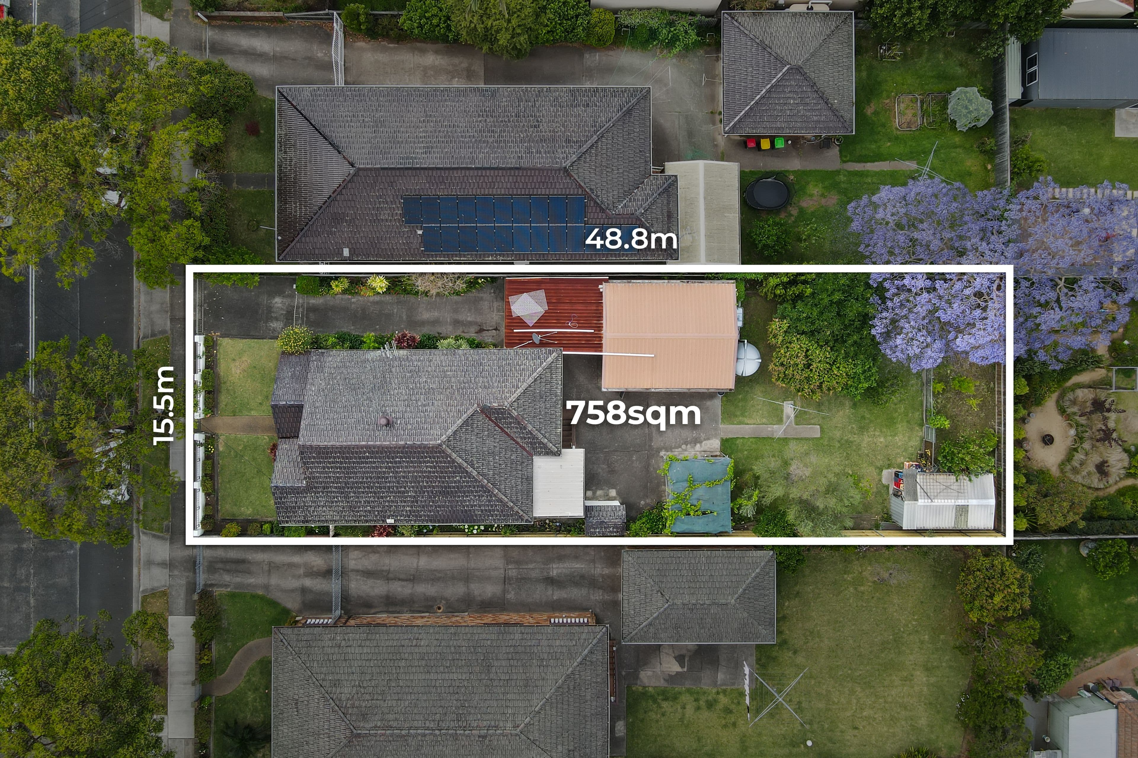 22 Roslyn Street, Ashbury NSW 2193, Ashbury - Thumbnail 2