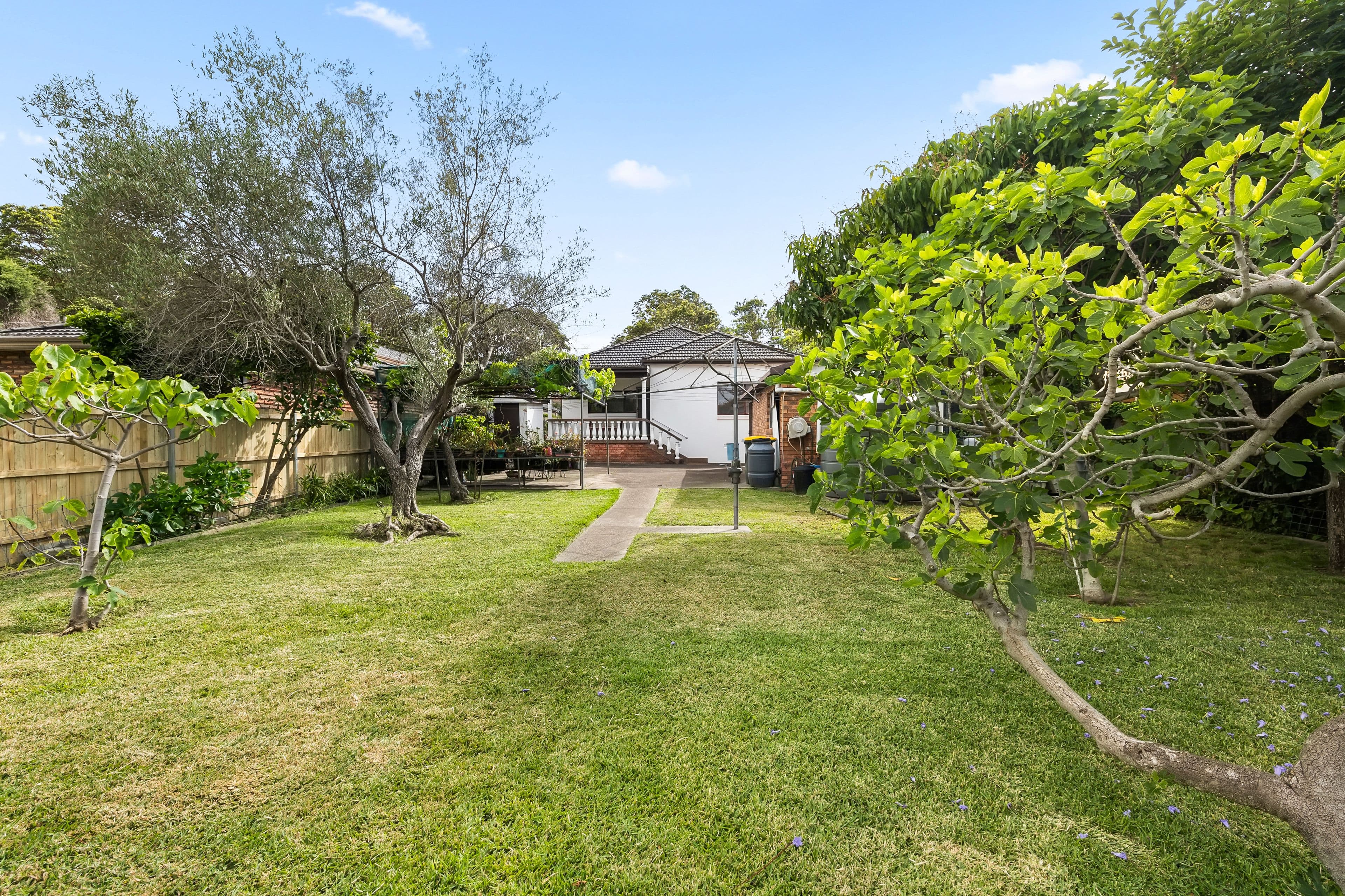 22 Roslyn Street, Ashbury NSW 2193, Ashbury - Thumbnail 6