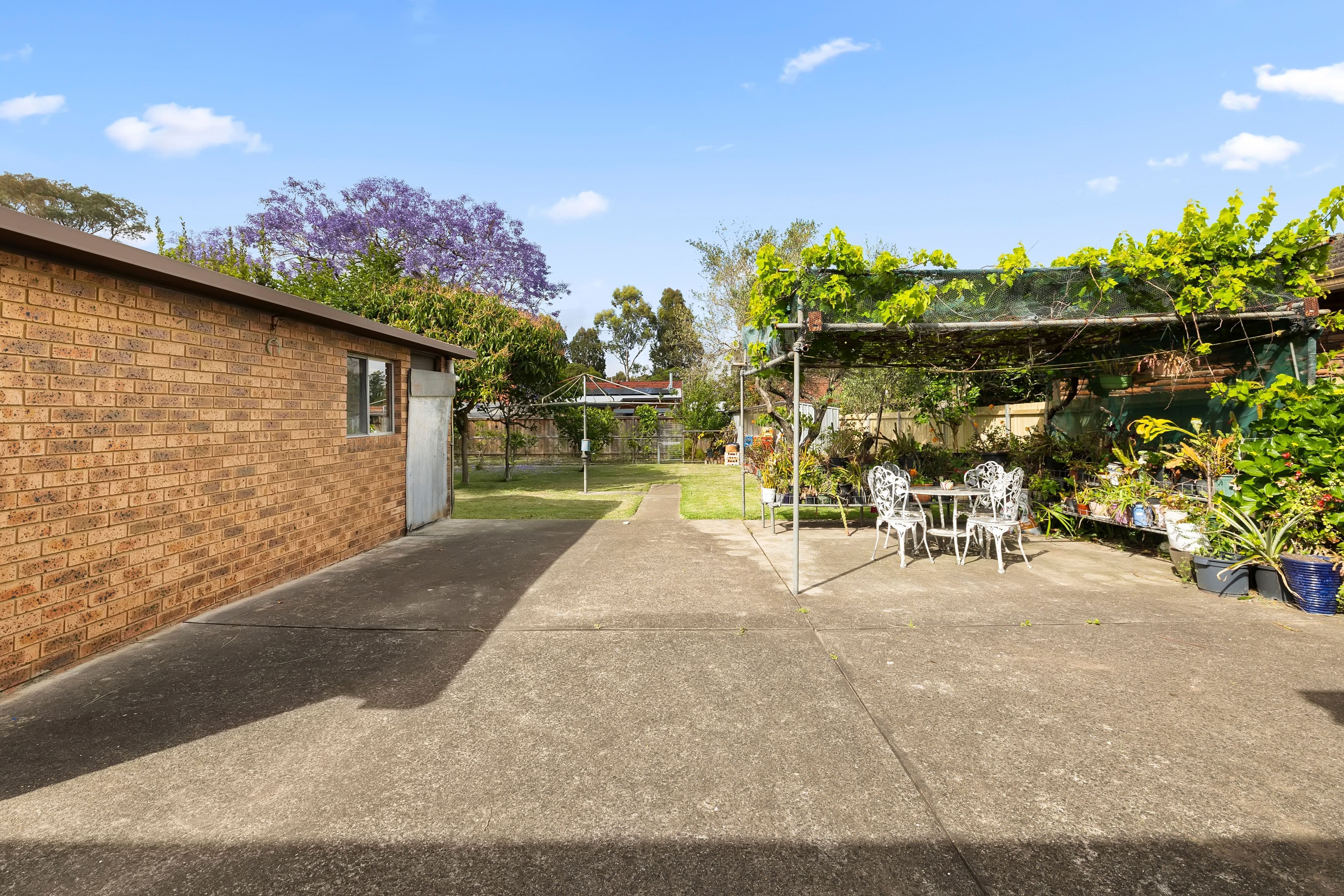 22 Roslyn Street, Ashbury NSW 2193, Ashbury - Thumbnail 8