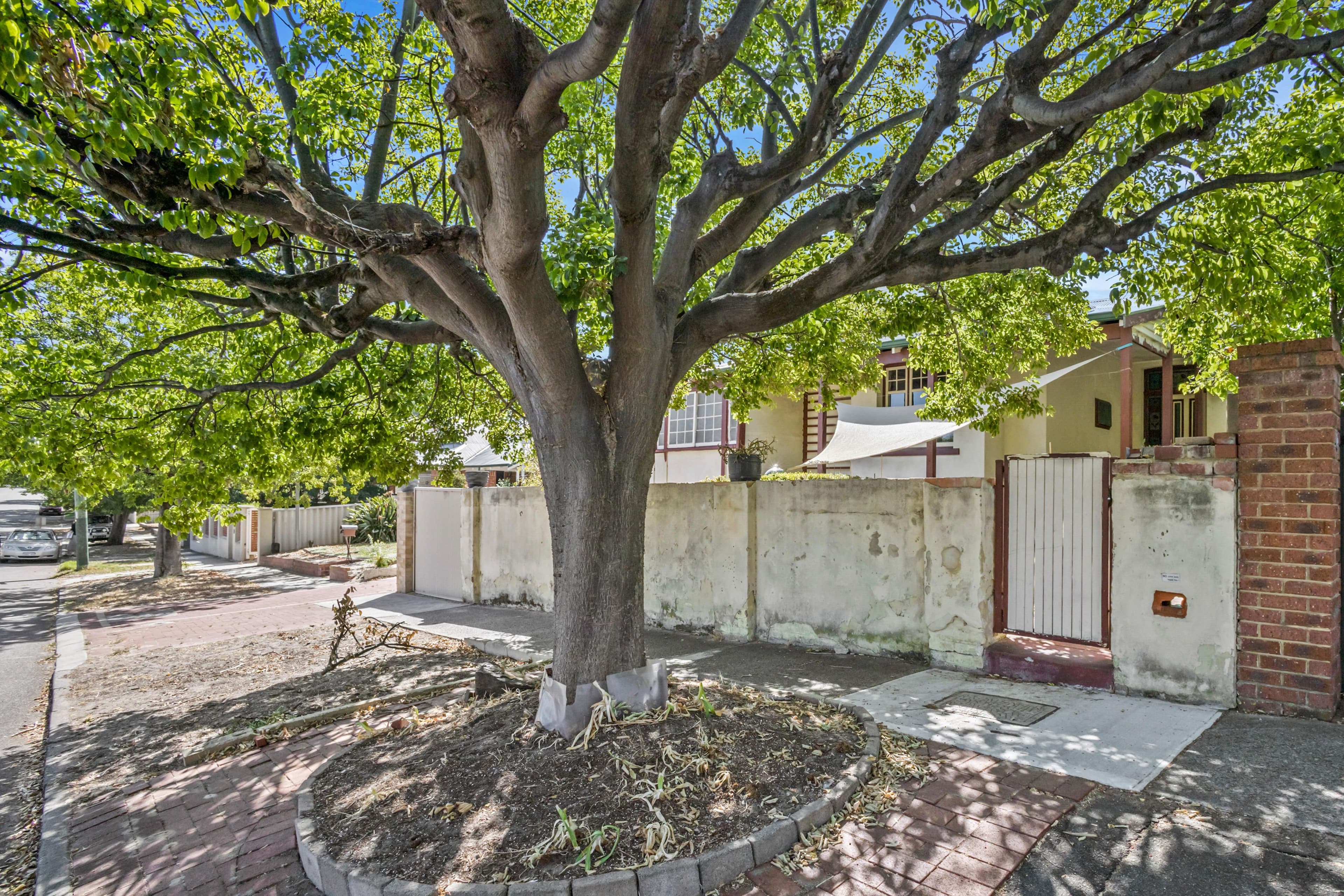 20 York Street, North Perth WA 6006, North Perth - Thumbnail 2