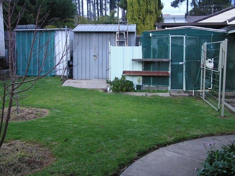 6 Reeve Street, MANJIMUP WA 6258, Manjimup - Thumbnail 7