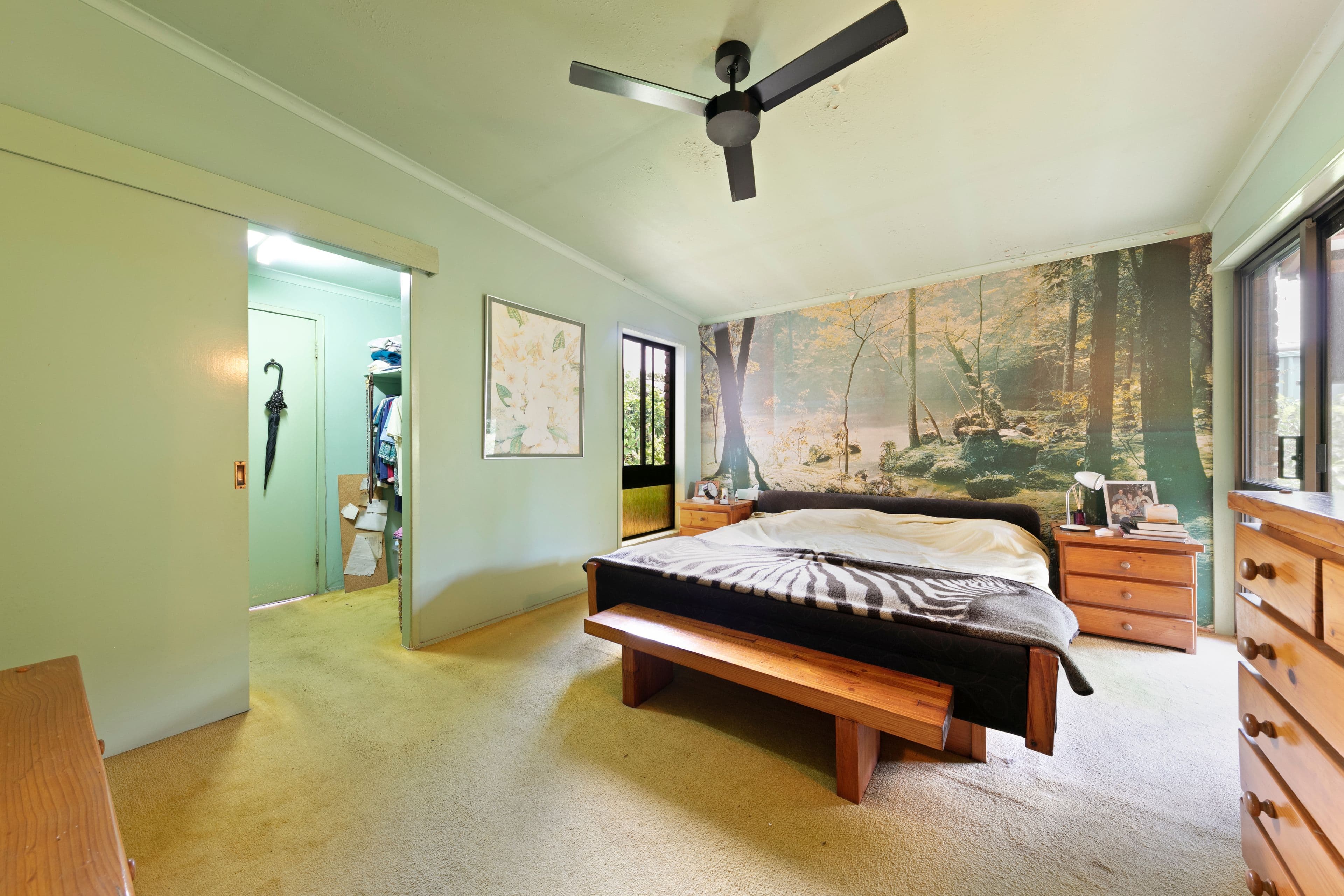 34 Wurtulla Street, Maroochydore QLD 4558, Maroochydore - Thumbnail 6