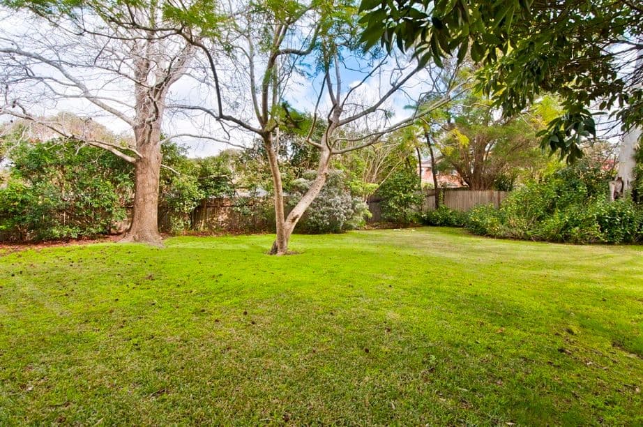 8 Yuruga Place, ALLAMBIE HEIGHTS NSW 2100, Allambie Heights - Thumbnail 6