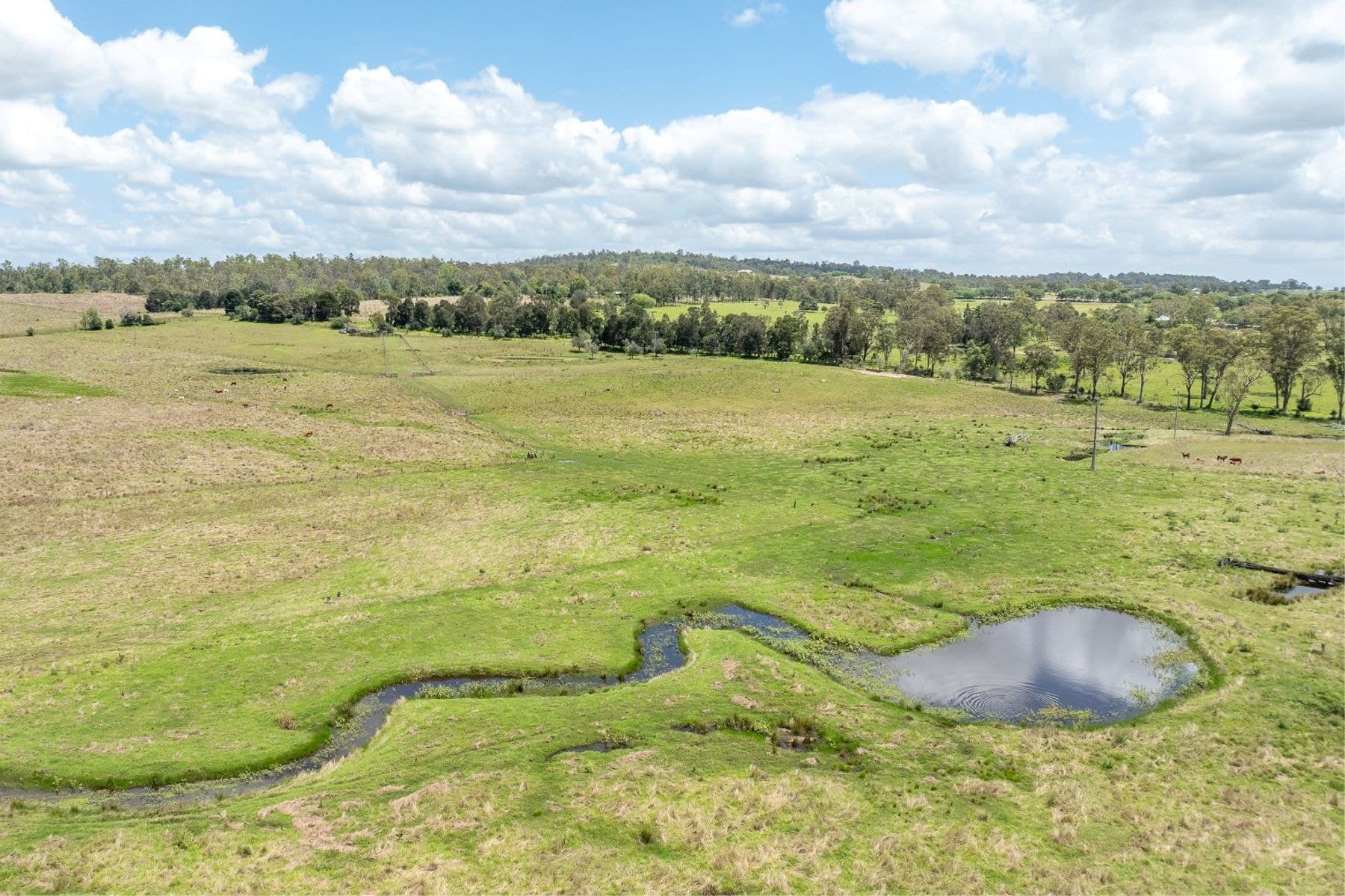 Ipswich Boonah Road


Milbong QLD 4310, Qld - Thumbnail 4