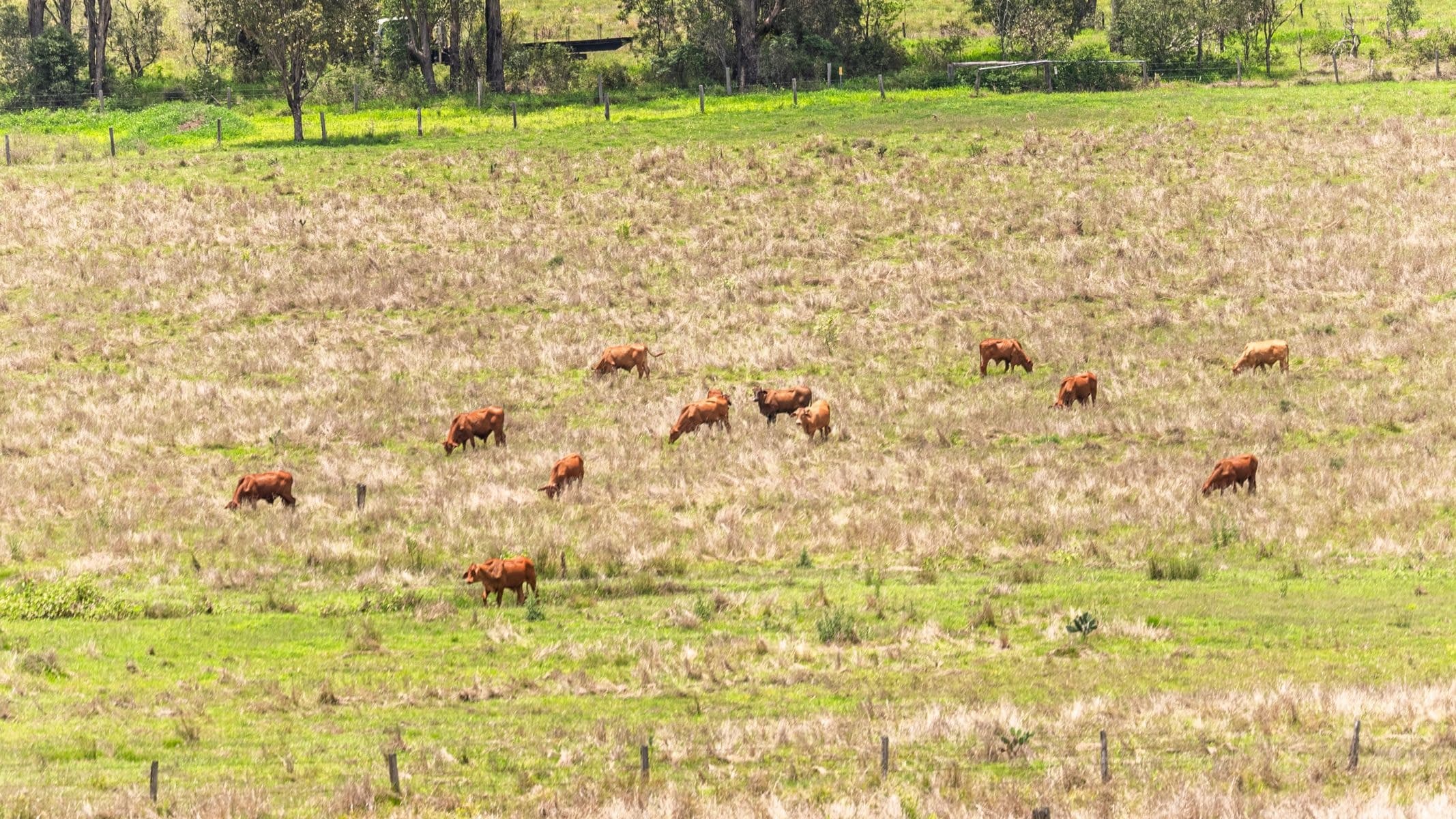 Ipswich Boonah Road


Milbong QLD 4310, Qld - Thumbnail 7