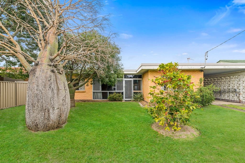 13 Flores Avenue, Palm Beach QLD 4221, Palm Beach - Thumbnail 4