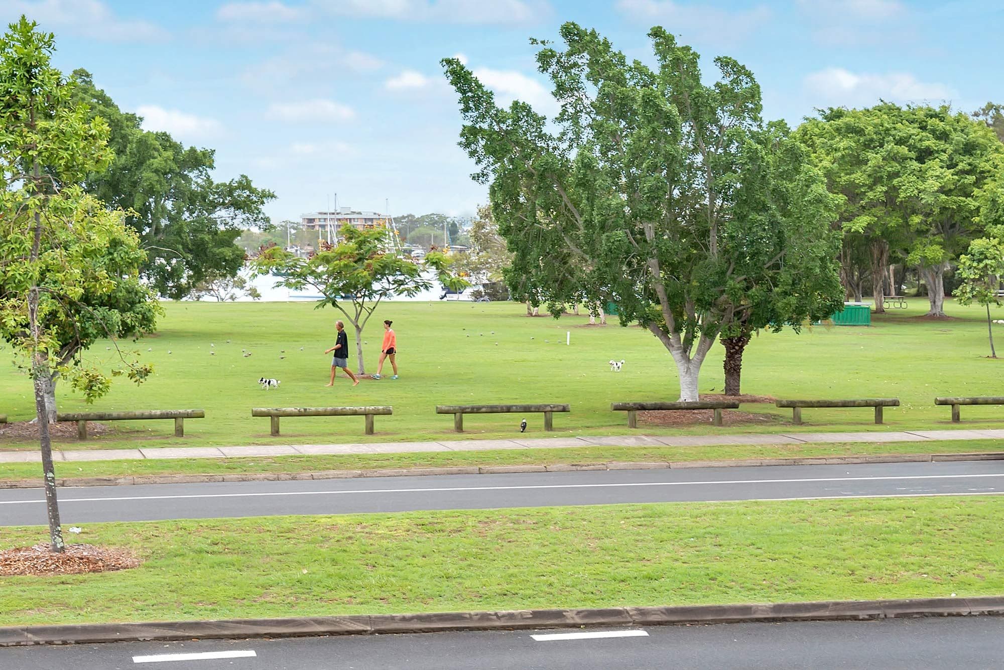 46 Abalone Avenue, Paradise Point QLD 4216, Paradise Point - Thumbnail 5