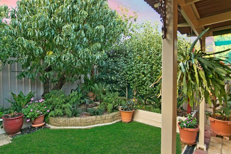 18 Bristol Terrace, Oakden SA 5086, Oakden - Thumbnail 7