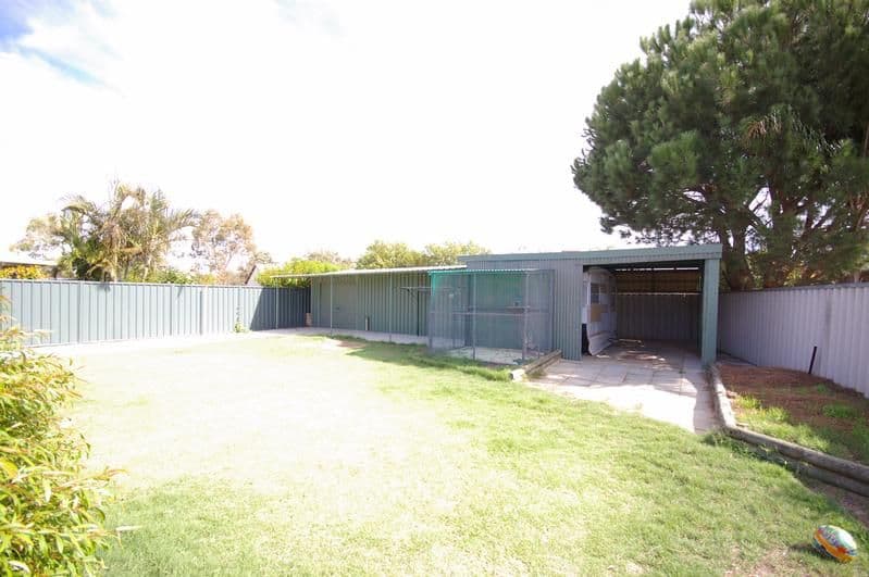 76 Appleblossom Drive, MIRRABOOKA WA 6061, Mirrabooka - Thumbnail 6
