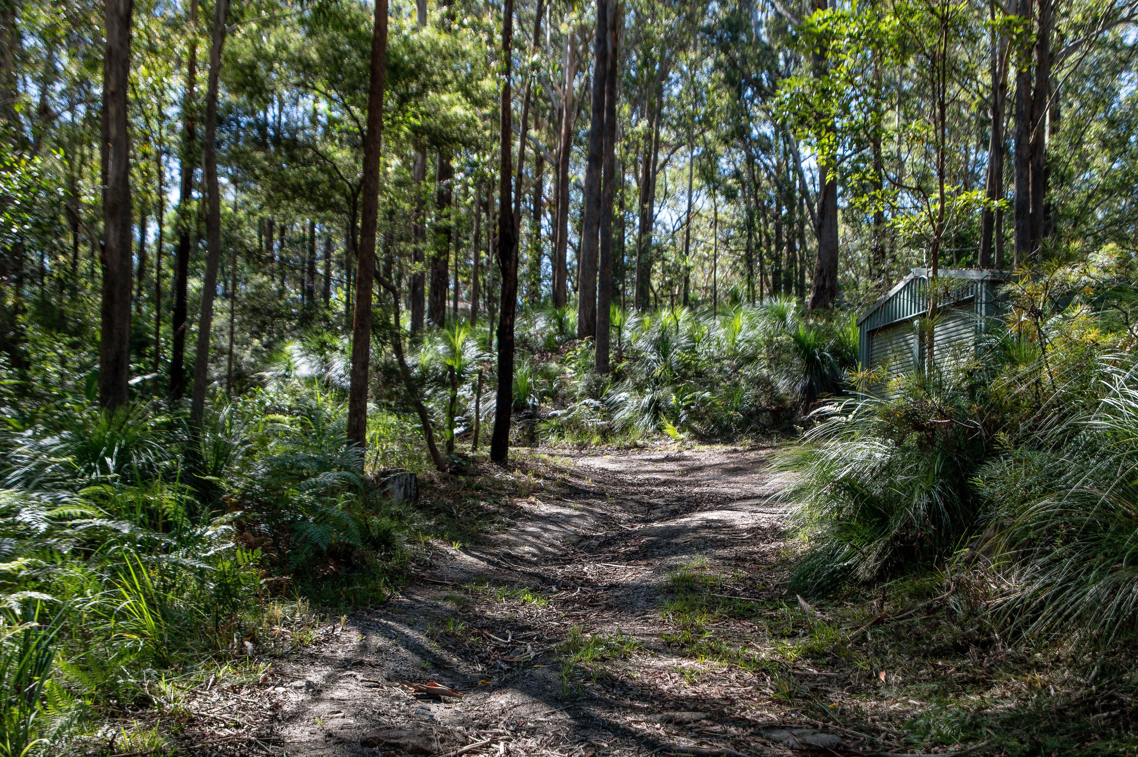 1938 Mount Mee Road, Ocean View QLD 4521, Ocean View - Thumbnail 5