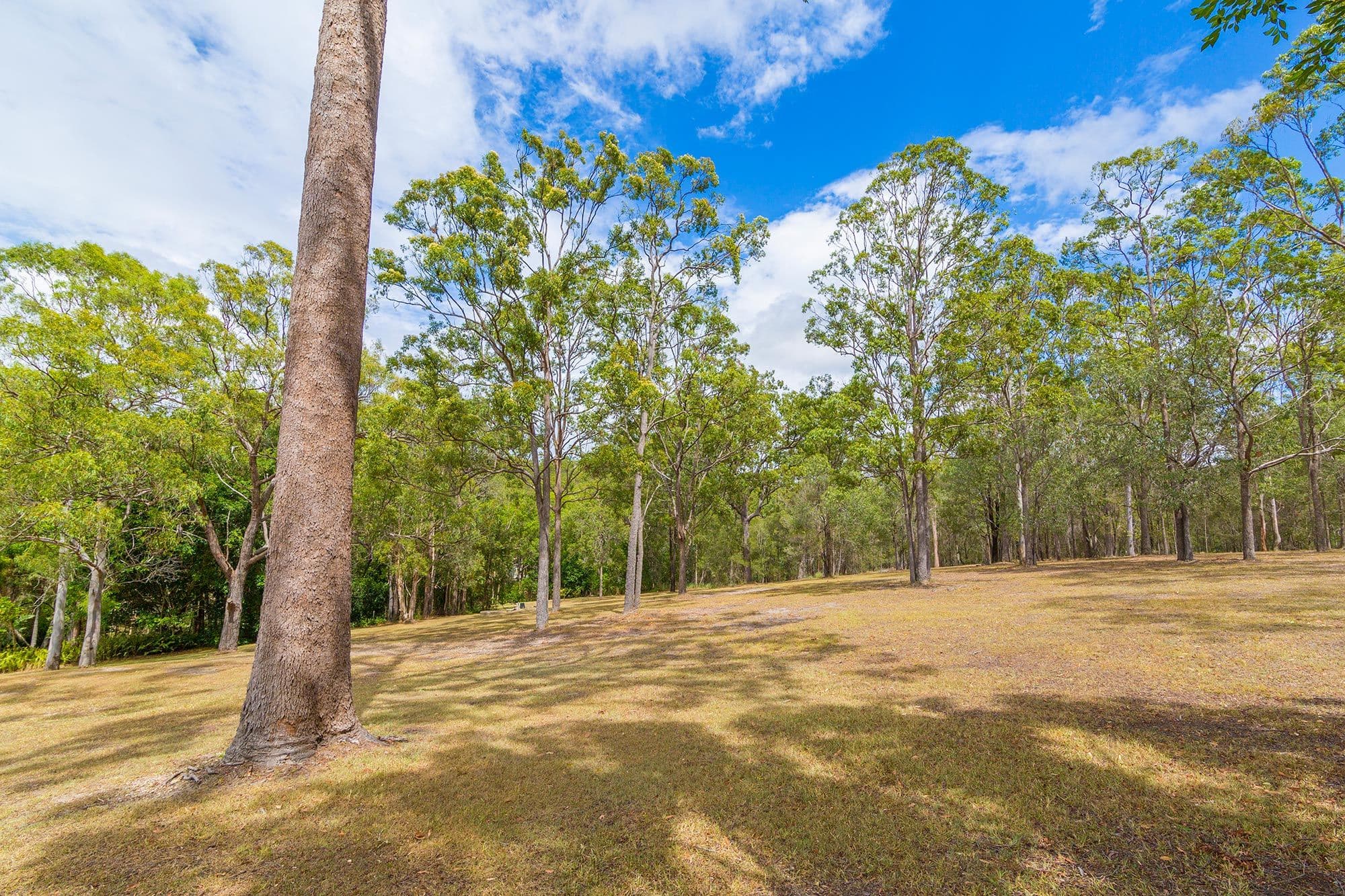 14 Willow Road, Willow Vale QLD 4209, Willow Vale - Thumbnail 6
