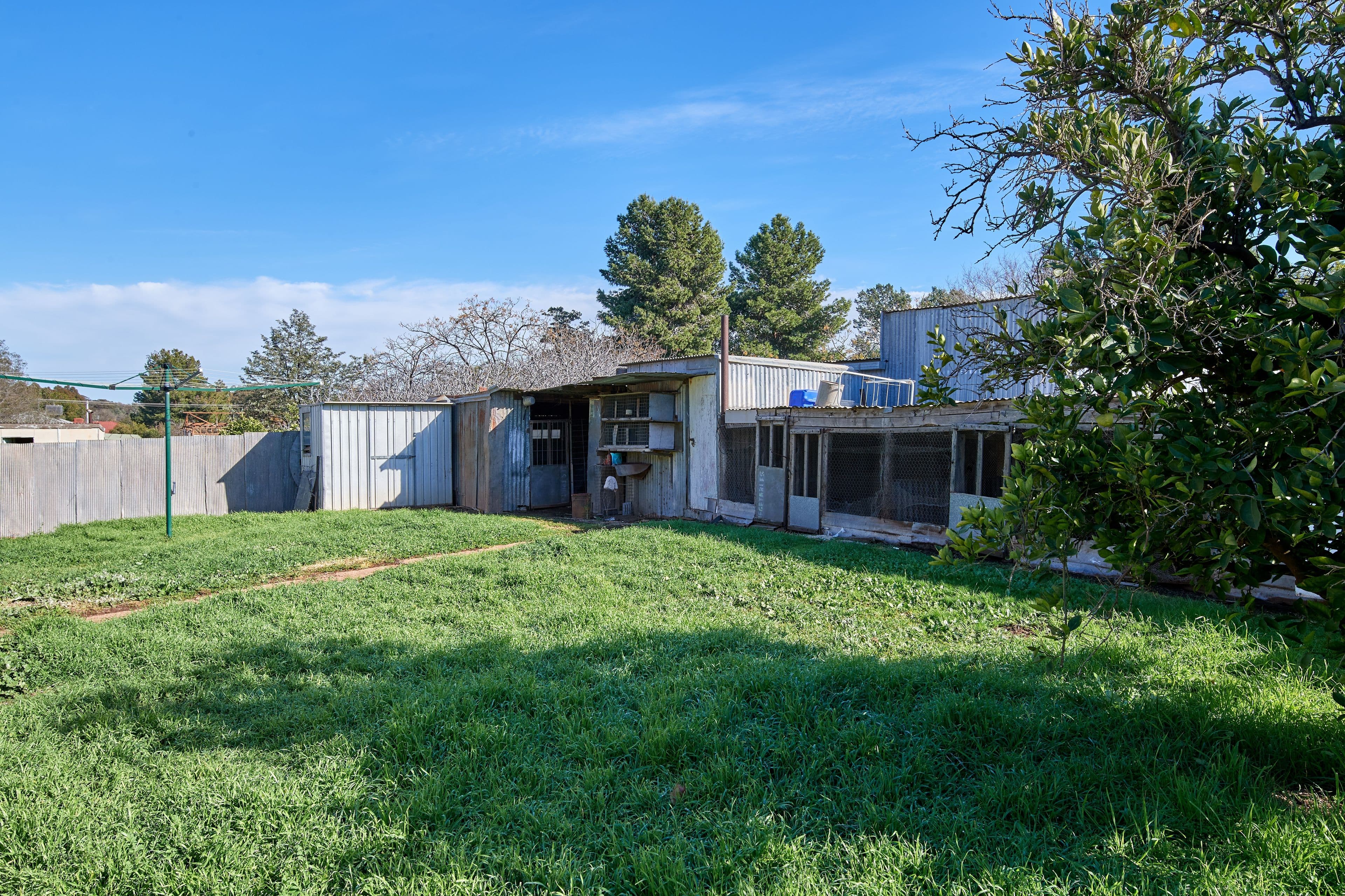 68 Mann Street, Coolamon NSW 2701, Coolamon - Thumbnail 6