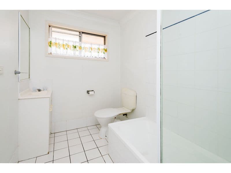 33 Shottery Street, Yeronga QLD 4104, Yeronga - Thumbnail 3