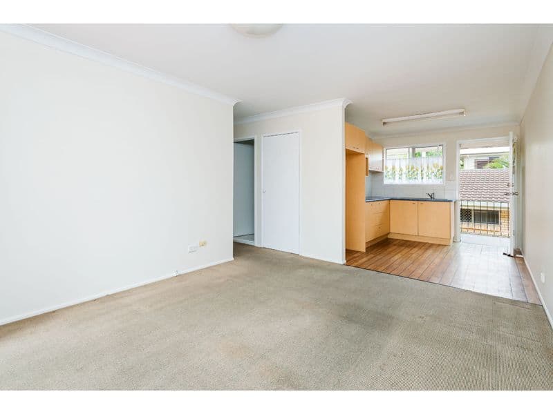 33 Shottery Street, Yeronga QLD 4104, Yeronga - Thumbnail 4