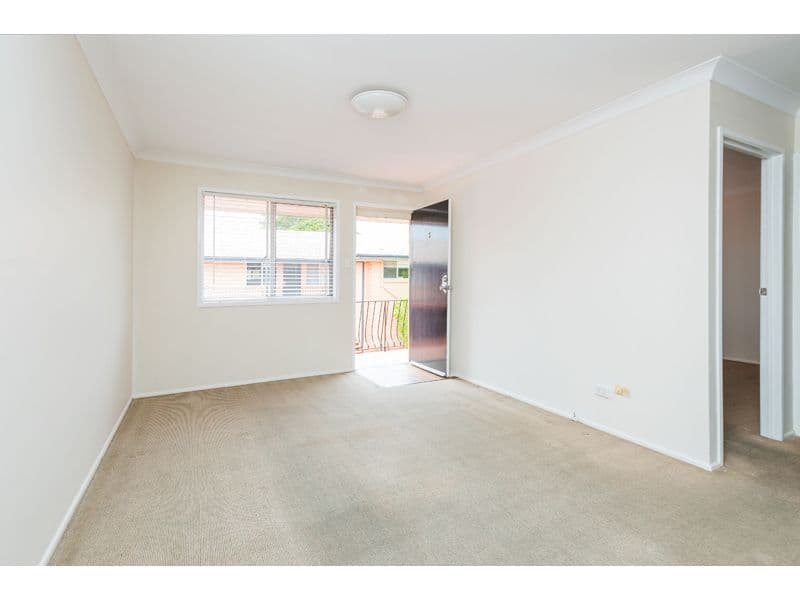 33 Shottery Street, Yeronga QLD 4104, Yeronga - Thumbnail 5