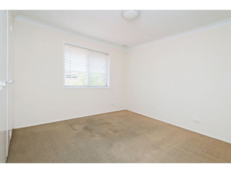 33 Shottery Street, Yeronga QLD 4104, Yeronga - Thumbnail 6