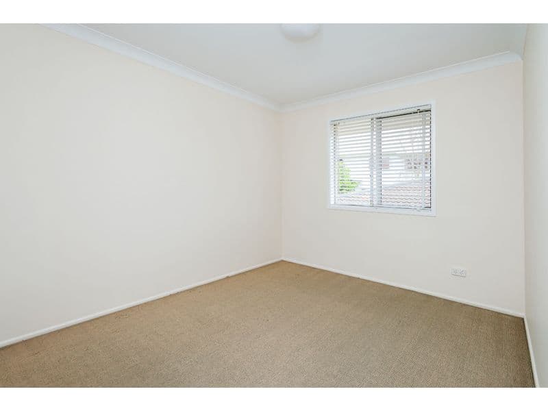 33 Shottery Street, Yeronga QLD 4104, Yeronga - Thumbnail 7