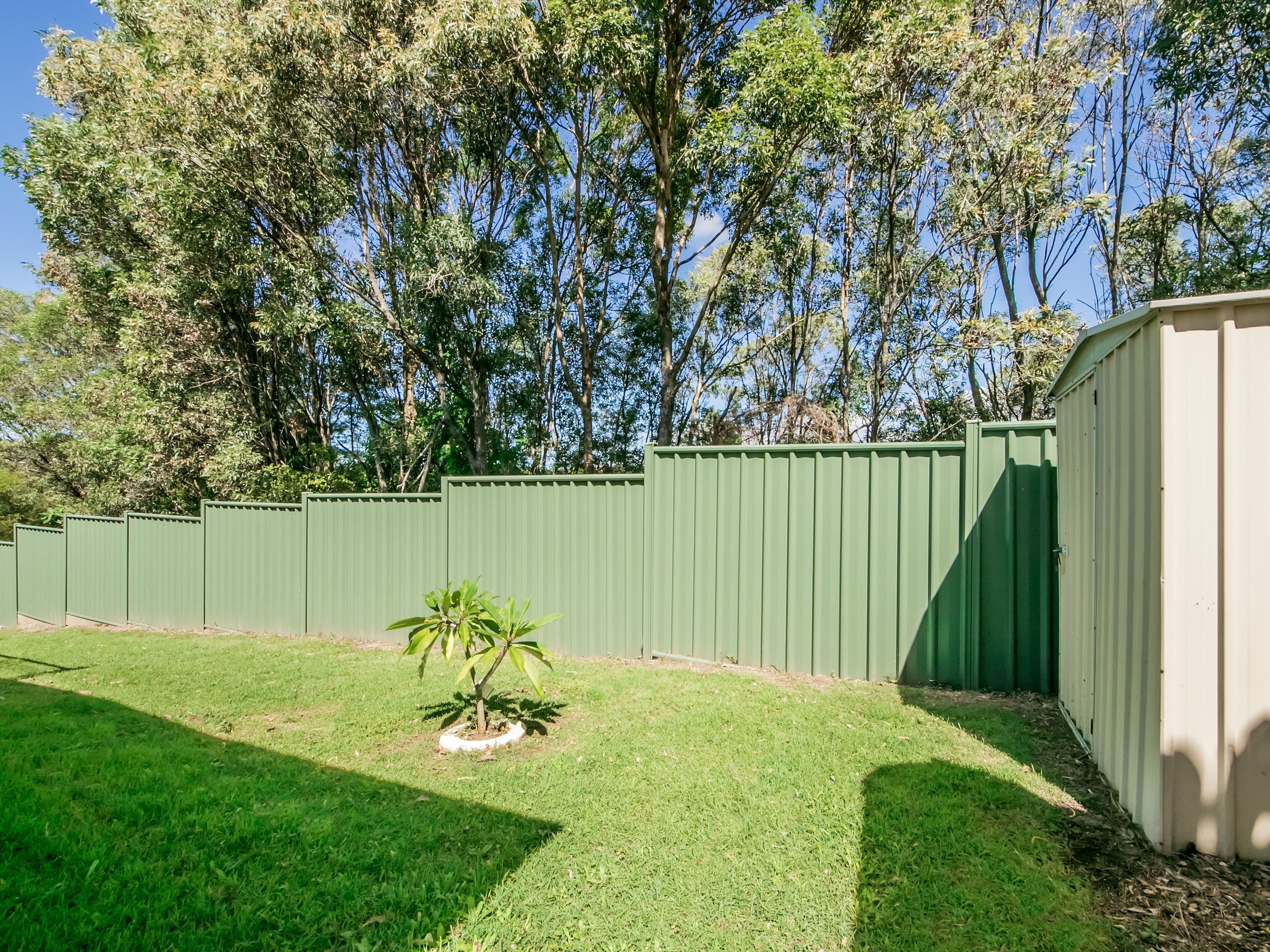 20 Keneally Street, Maudsland QLD 4210, Maudsland - Thumbnail 3