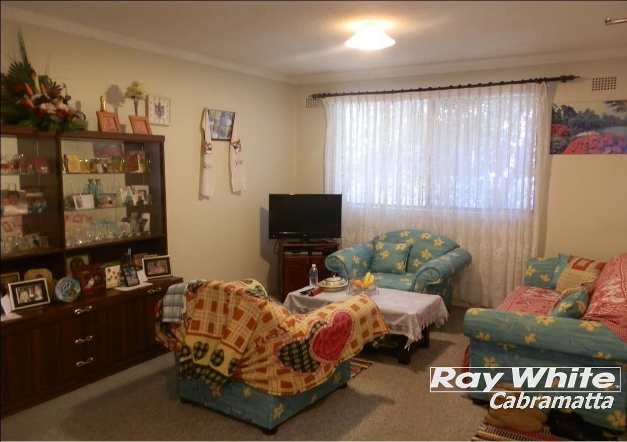 25 Mcburney Road, Cabramatta NSW 2166, Cabramatta - Thumbnail 6
