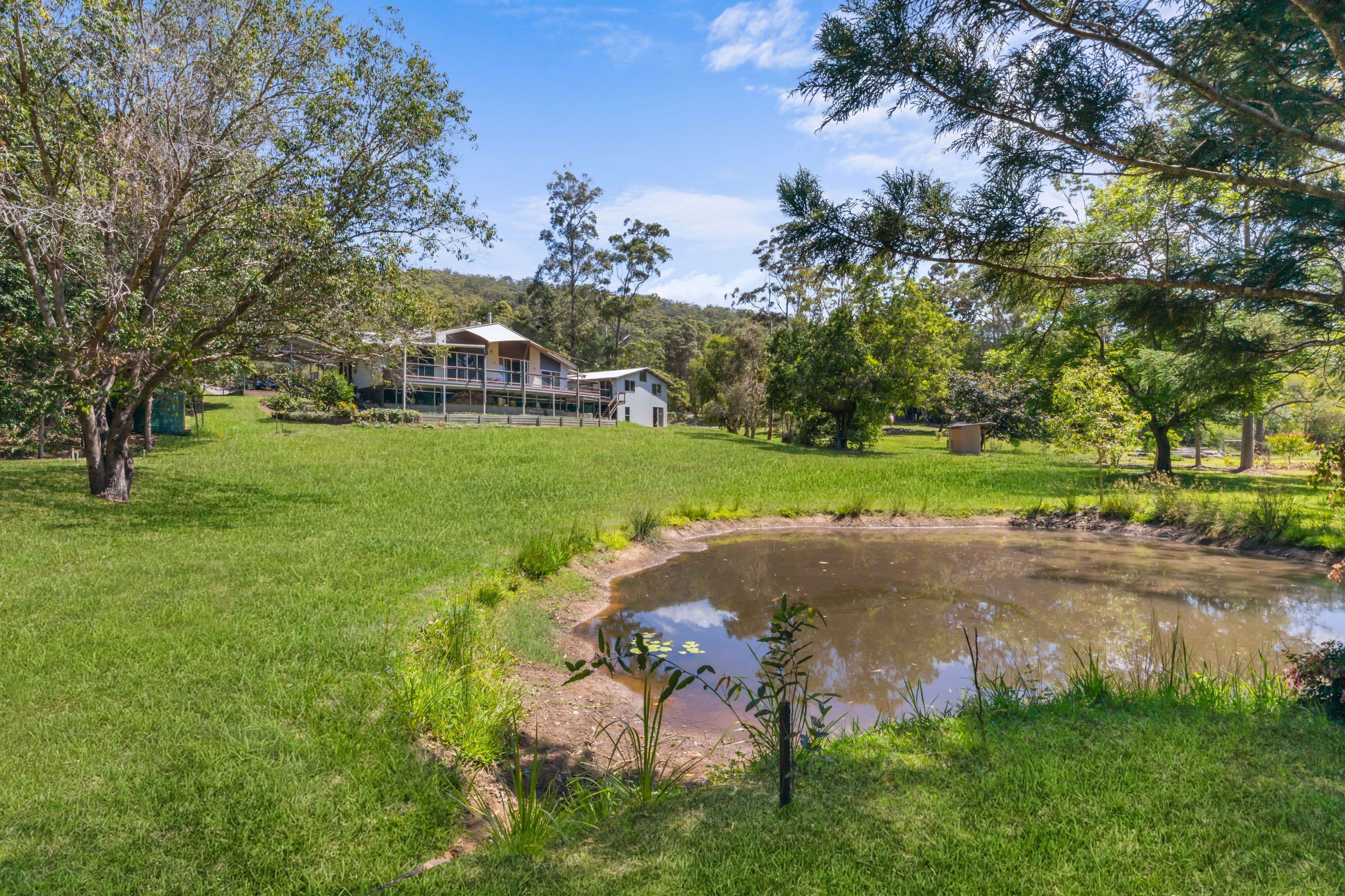 284 Diamond Valley Road, Diamond Valley QLD 4553, Diamond Valley - Thumbnail 2