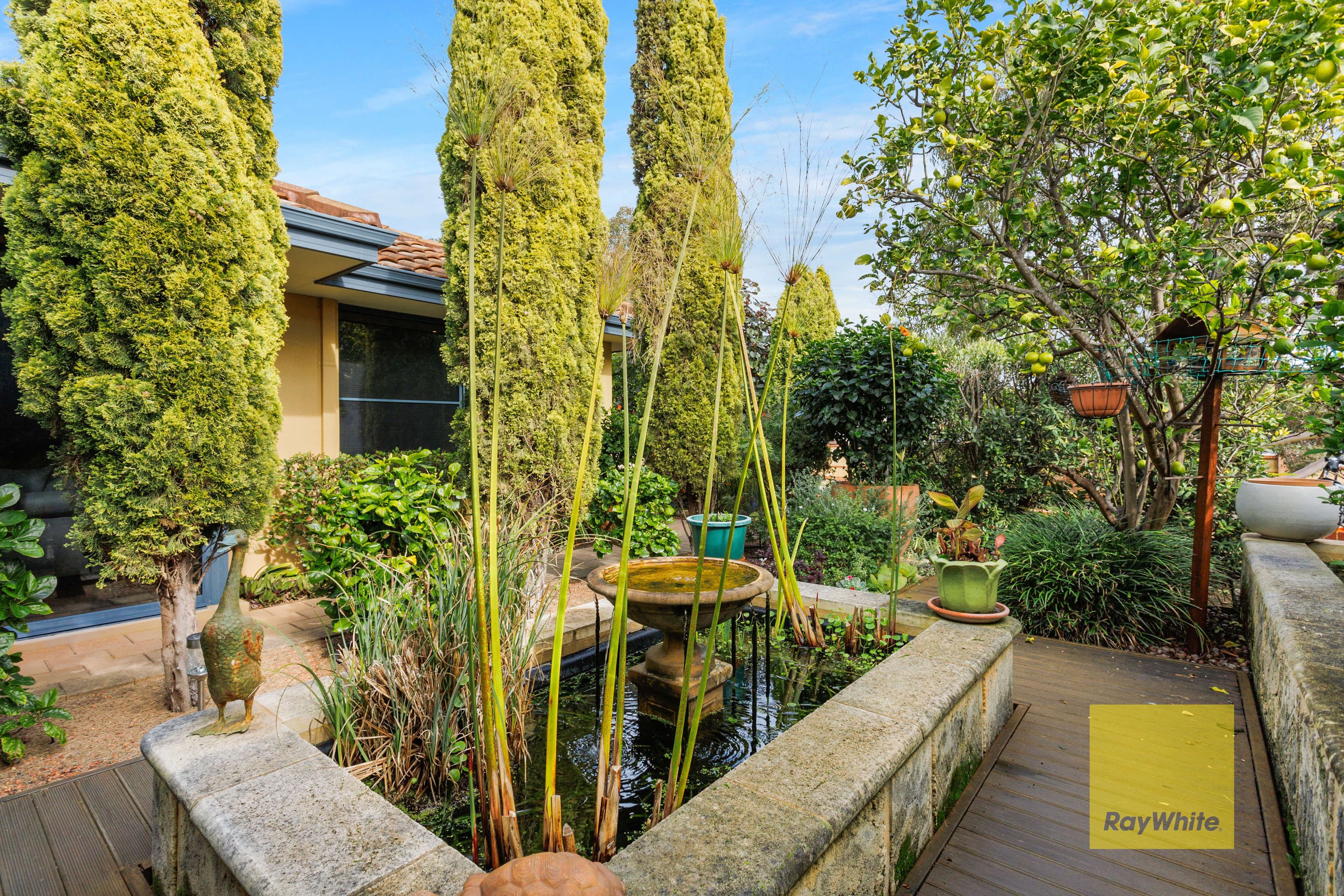 13 Finsbury Grove, Mount Claremont WA 6010, Mount Claremont - Thumbnail 8